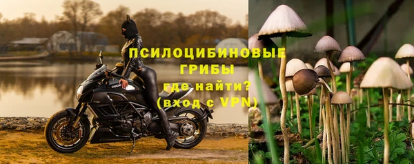 амф Алексин