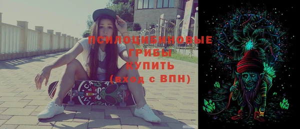 прущие грибы Алексеевка