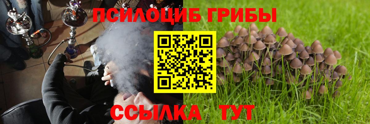Ачинск  Галлюциногенные грибы MAGIC MUSHROOMS  купить наркоту  Вход с VPN 